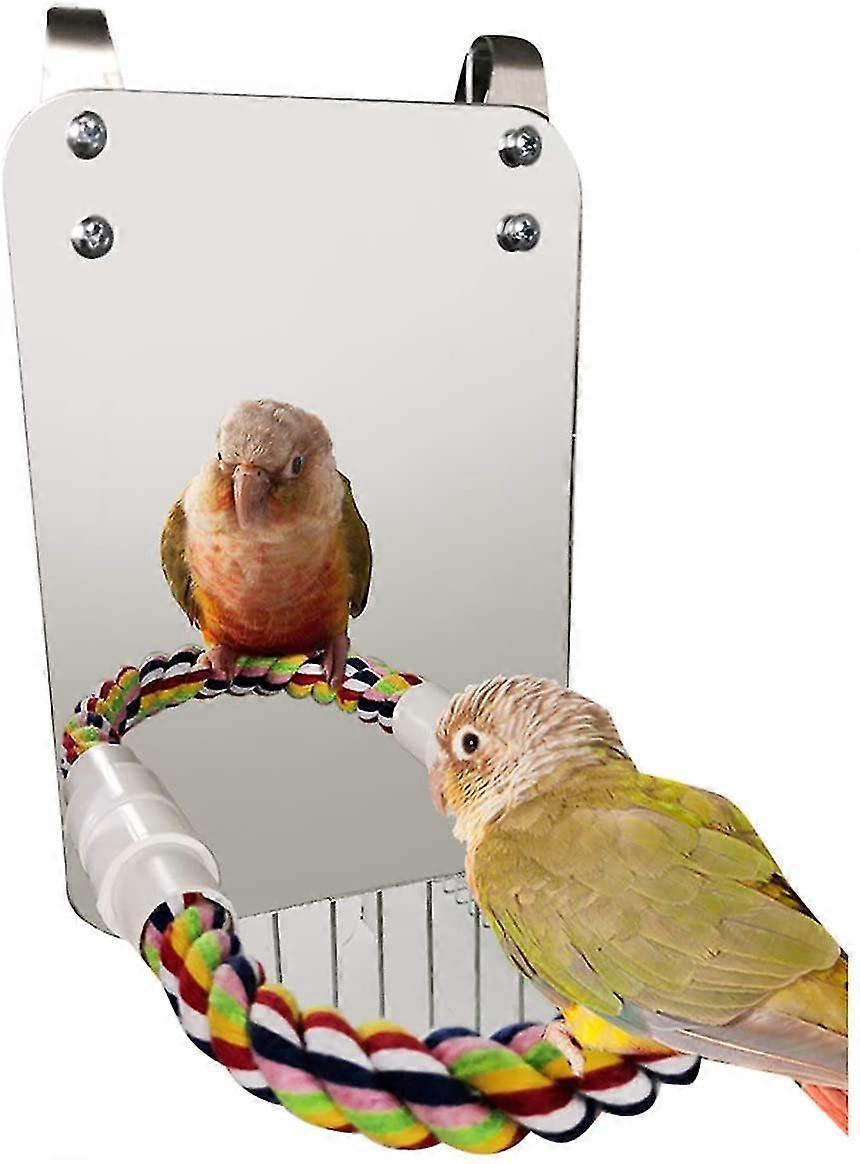 Bird Mirror Toy with Rope Pole Parrot Bite Toy with Large Mirror Parrot Claws Bird Cage Perches Mirr
