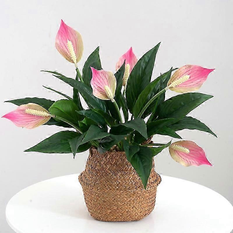 Beautiful Fine Texture Artificial Flower Vivid Handmade Plastic Simulation Spathiphyllum for Home JIKAIX