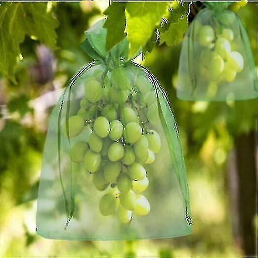 Starlight-200 Pieces Bunch Protection Bag 30x20cm/23x17cm Grape Fruit Organza Bag With Drawstring Giver total beskyttelse mod hvepsefugle og andet