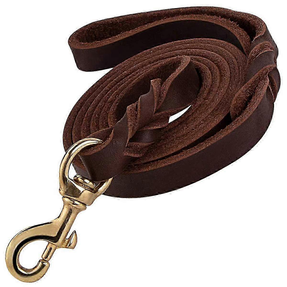 Braided Leather Dog Leash for Training & Walking