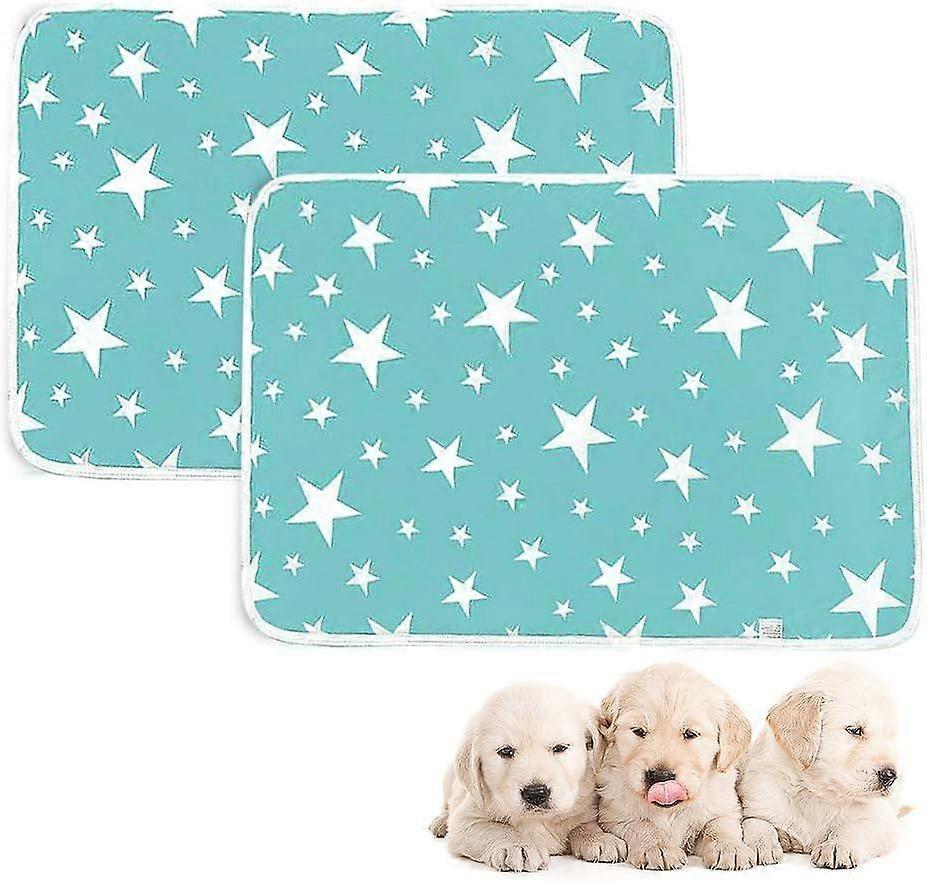Dog Training Pads, Set of 2 Training Pads for Potty Training - Quick Urine