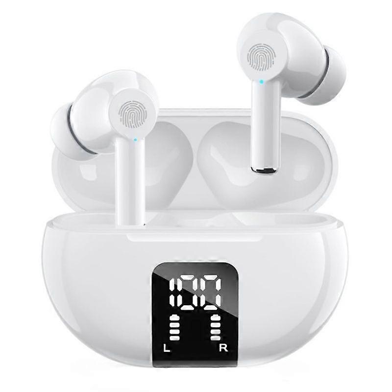 Multiple Languages Translation Earphones M10