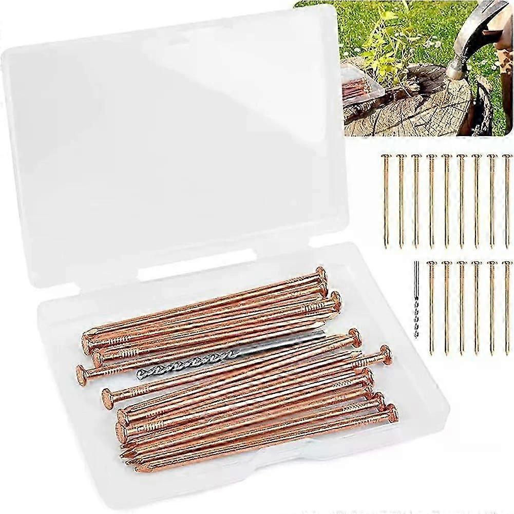 15/20/25pcs 4 Tree Killer Nails Large Copper Nails Stump Roots Removal Spikes For Killing Trees Stump Root Hardware Trees
