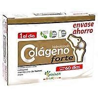 hydrolyzed collagen forte 60 vegetable capsules