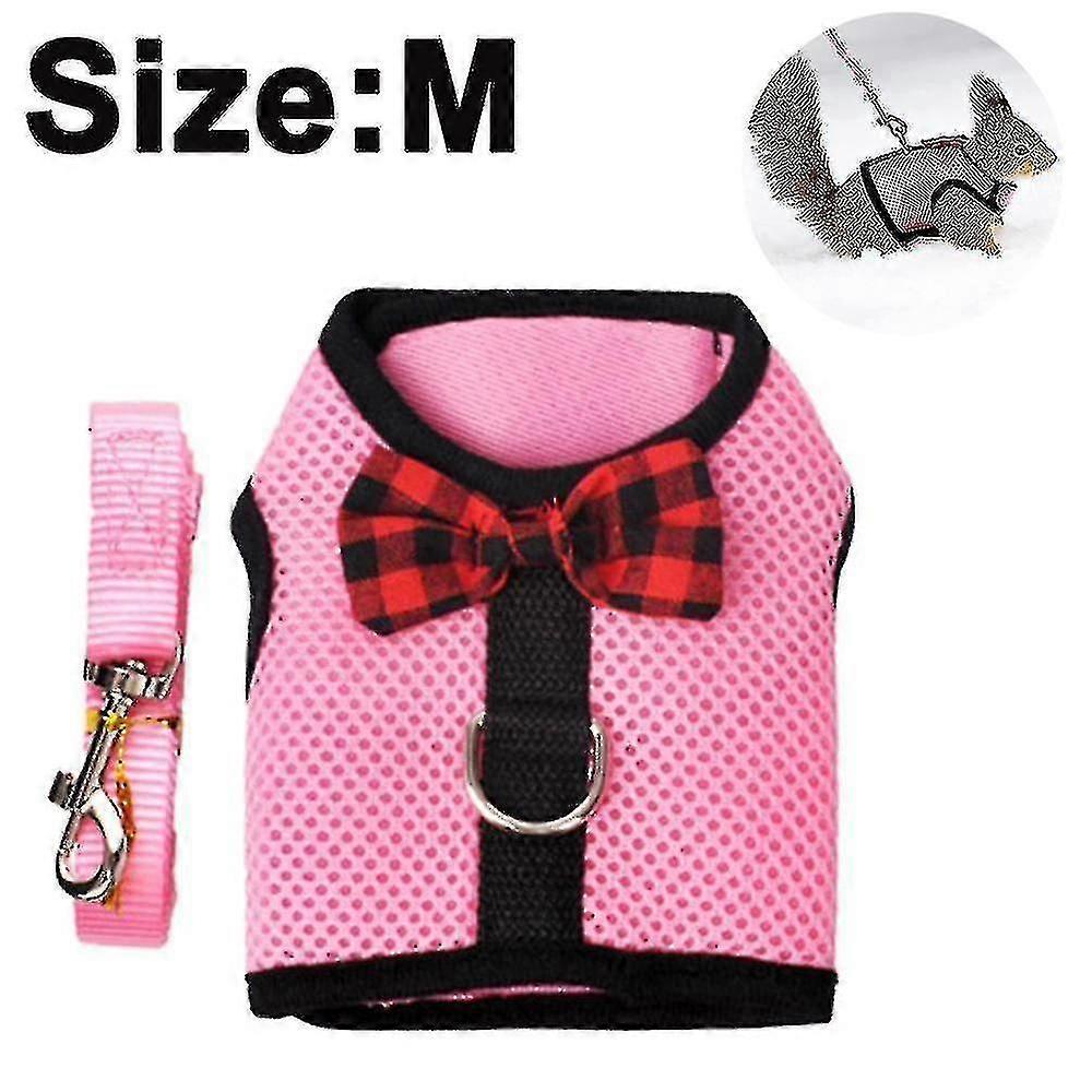 Small Pet Leash