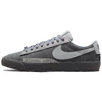Nike SB Blazer Low Fpar Cool Grey DN3754-001