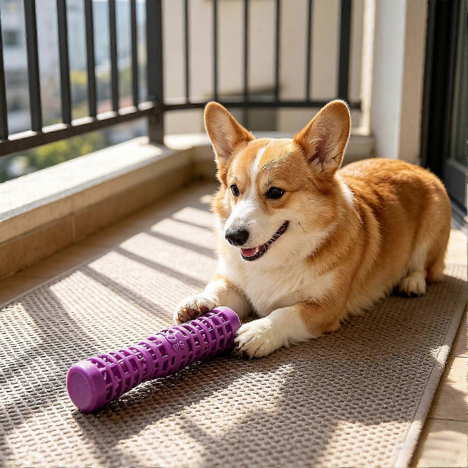 TPR Squeaky Dental Chew Stick
