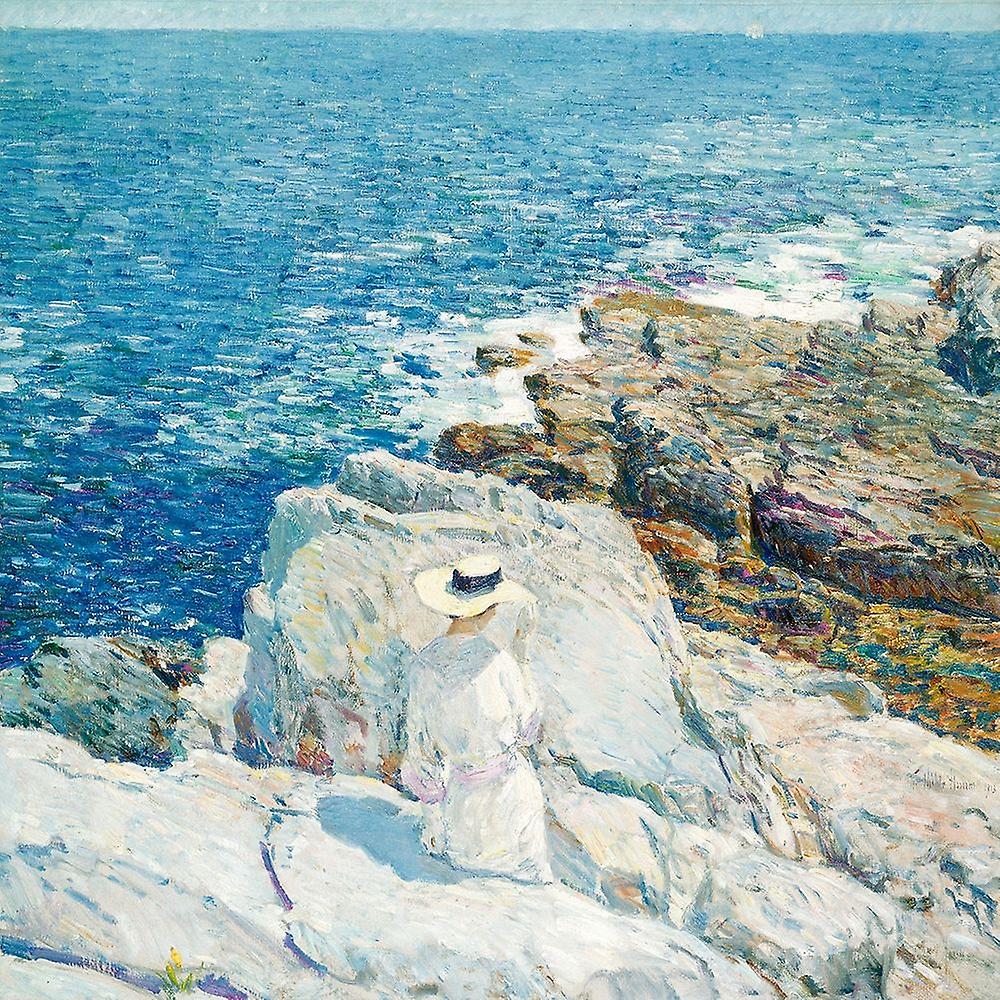 The South Ledges, Appledore Poster