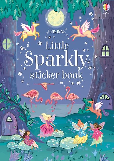 Sparkly Sticker Book by Fiona Patchett Paperback Book