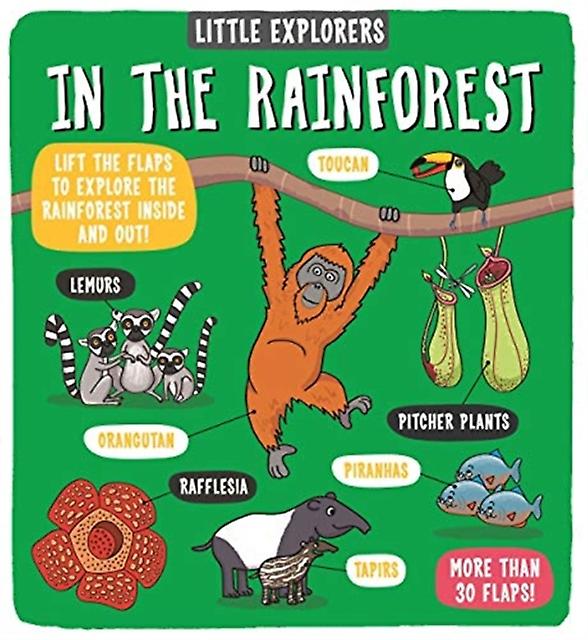 Little Explorers In The Rainforest - Dynamo Ltd