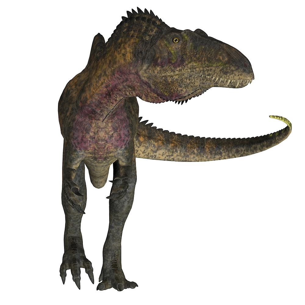 Acrocanthosaurus dinosaur on white background. Poster
