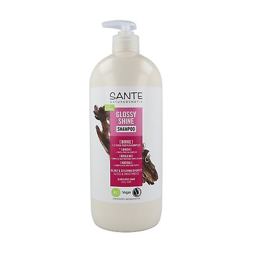 Birch shine shampoo 950 ml
