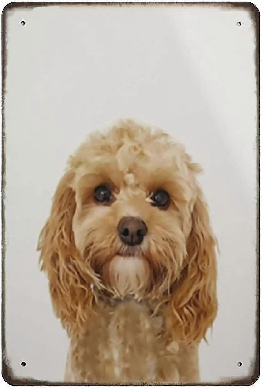 Decoração de Pão de Chocolate com Placa de Metal 8x12 Polegadas OU 12x16 Polegadas Modo 1861