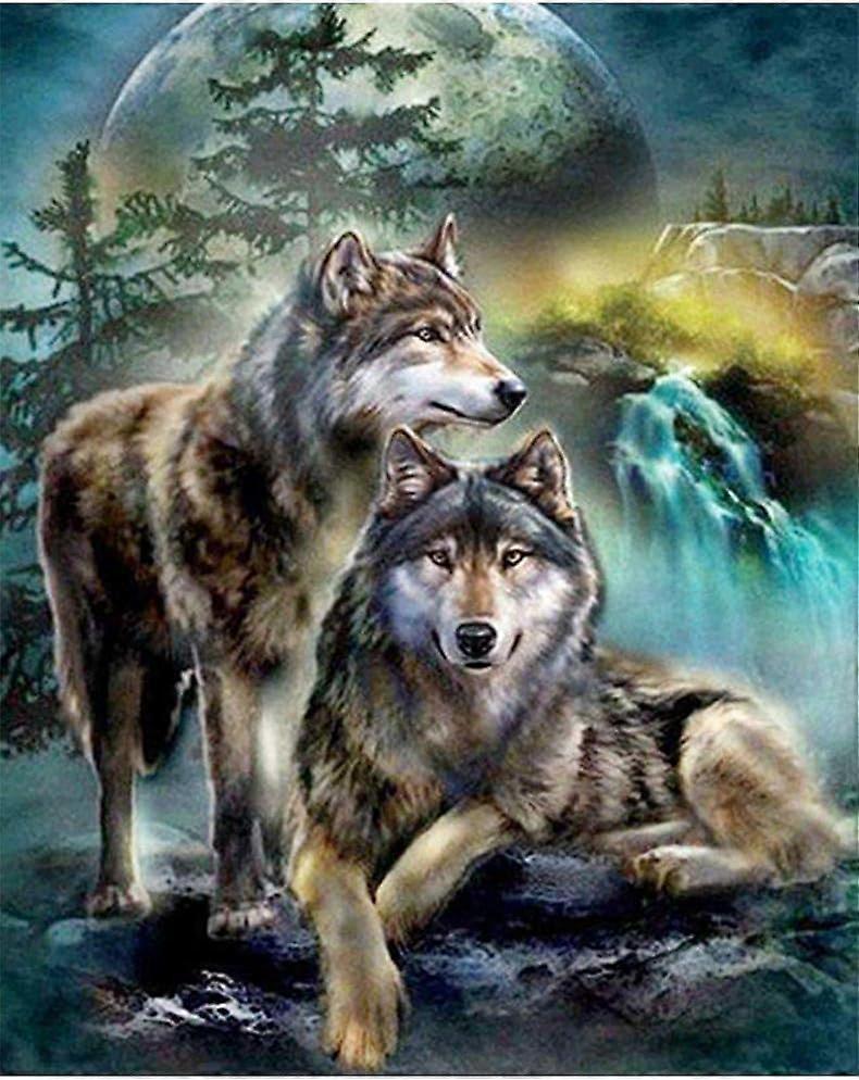 Two Wolves Embroidery Diamond Painting Kit