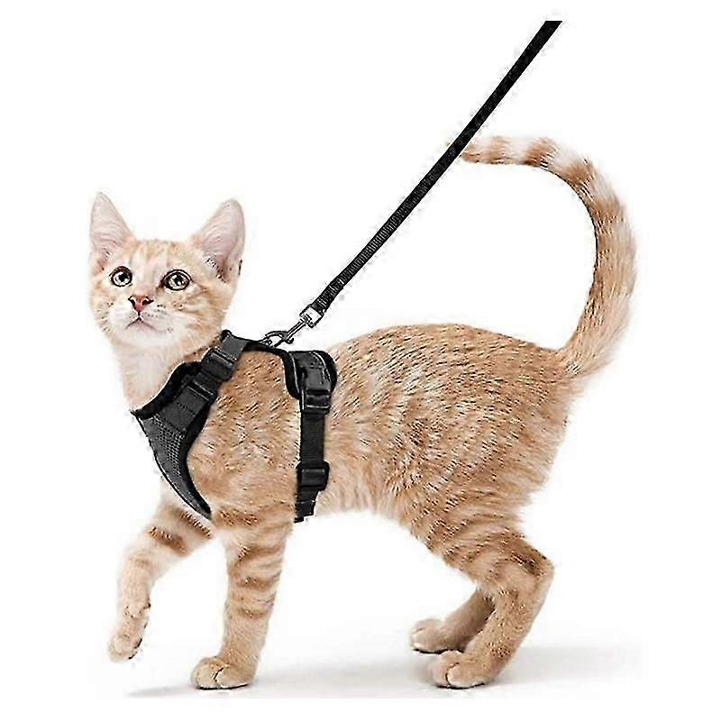 Cat Harness and Leash for Walking, Escape Proof Soft Adjustable Vest Harnesses for Cats, EasyControl