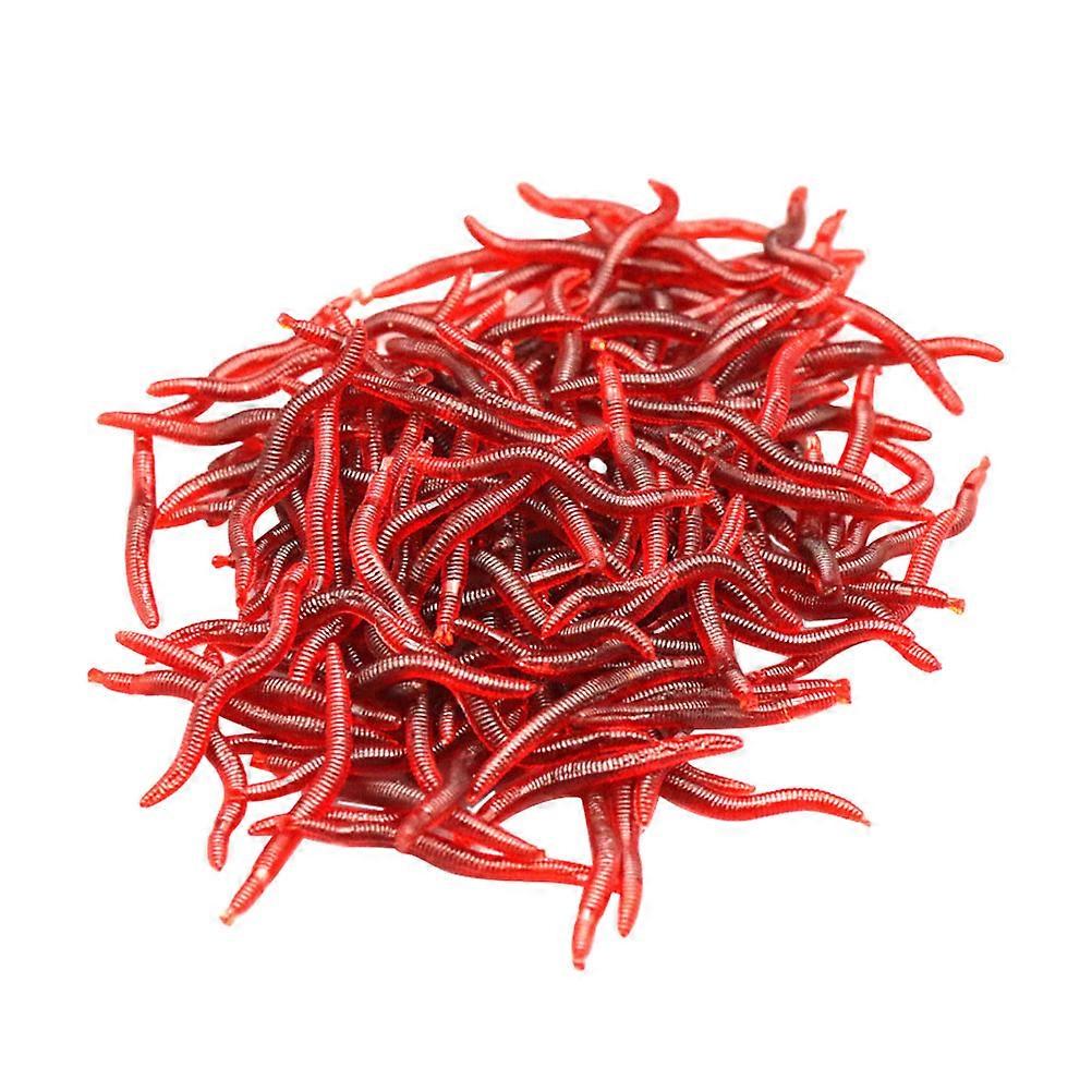 Angler's Essential Worm Lures, Crafted to Realistic Movement
