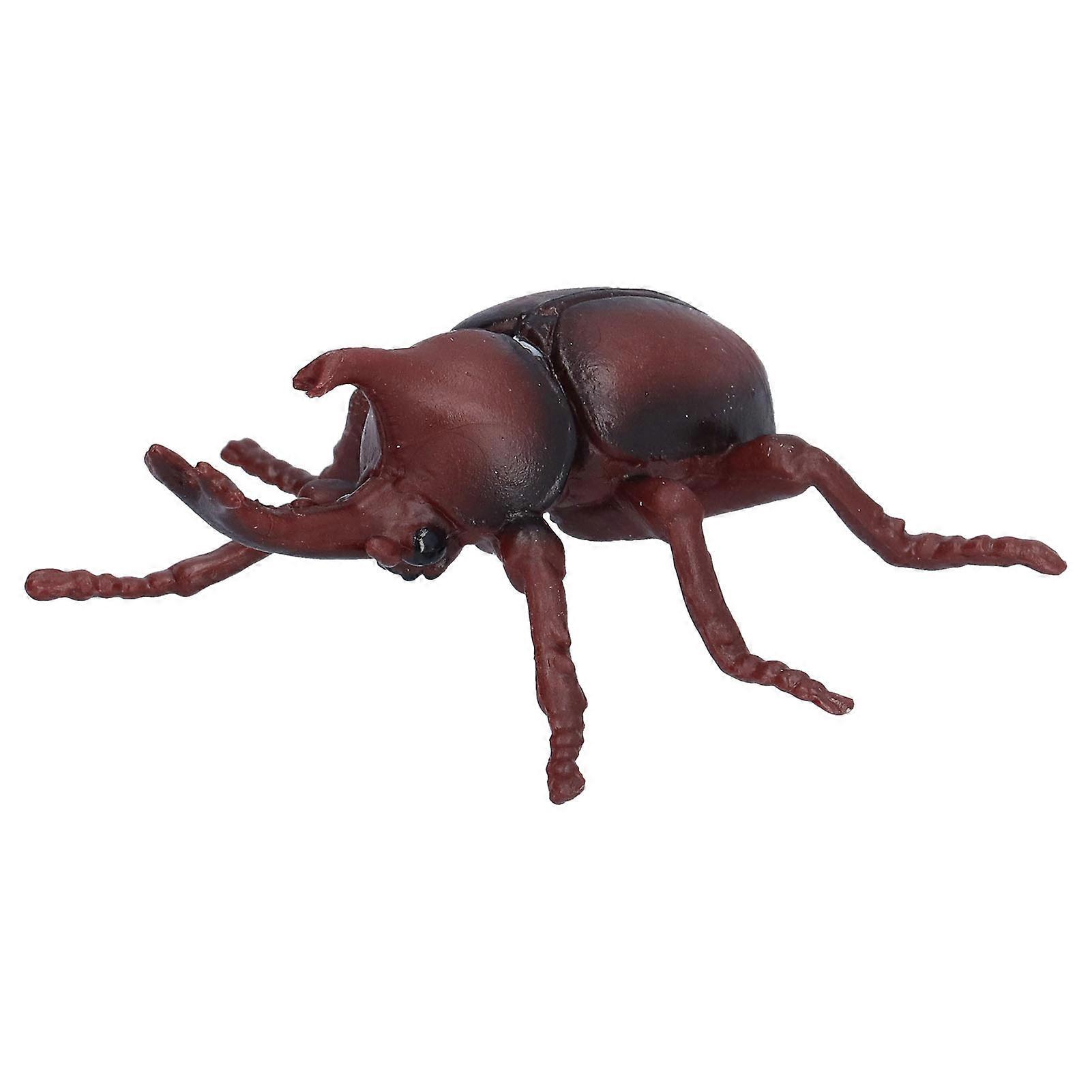 Realistic Beetle Insect Model Plastic Beetle Figure Toy Kid's Educational Insect Model Props