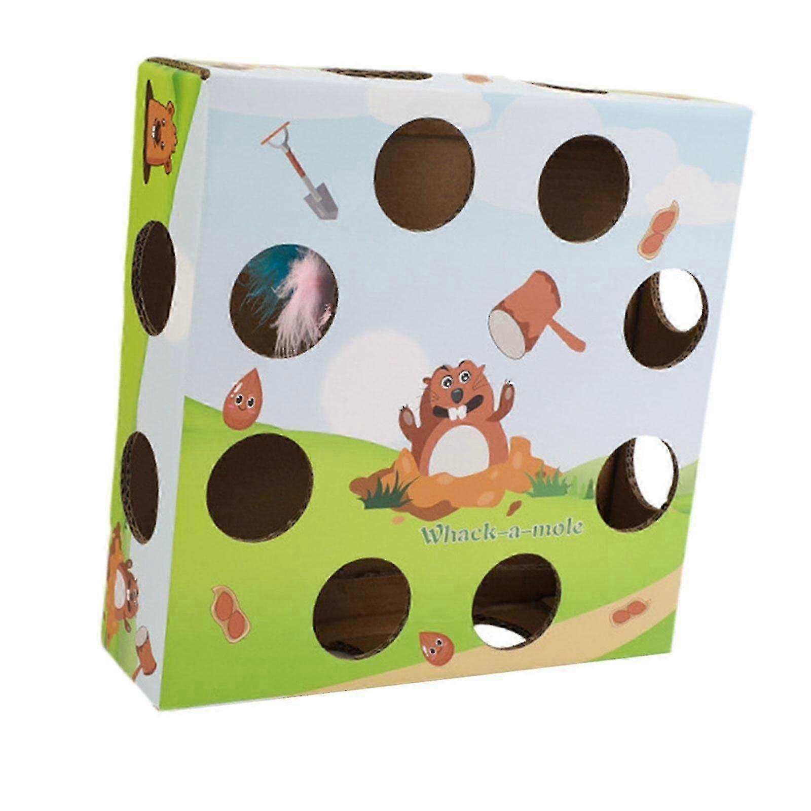 Cat Teaser Box Toy Practical Interactive Toy for Pet Supply Playing Exercise