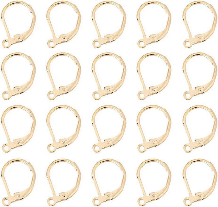 30 Pcs Lever Back Earring Hooks 24K Gold Plated French Hook Ear Wire Open Loop Leverback Ring Flat Round Earrings Making Suitable for Jewelry Making D