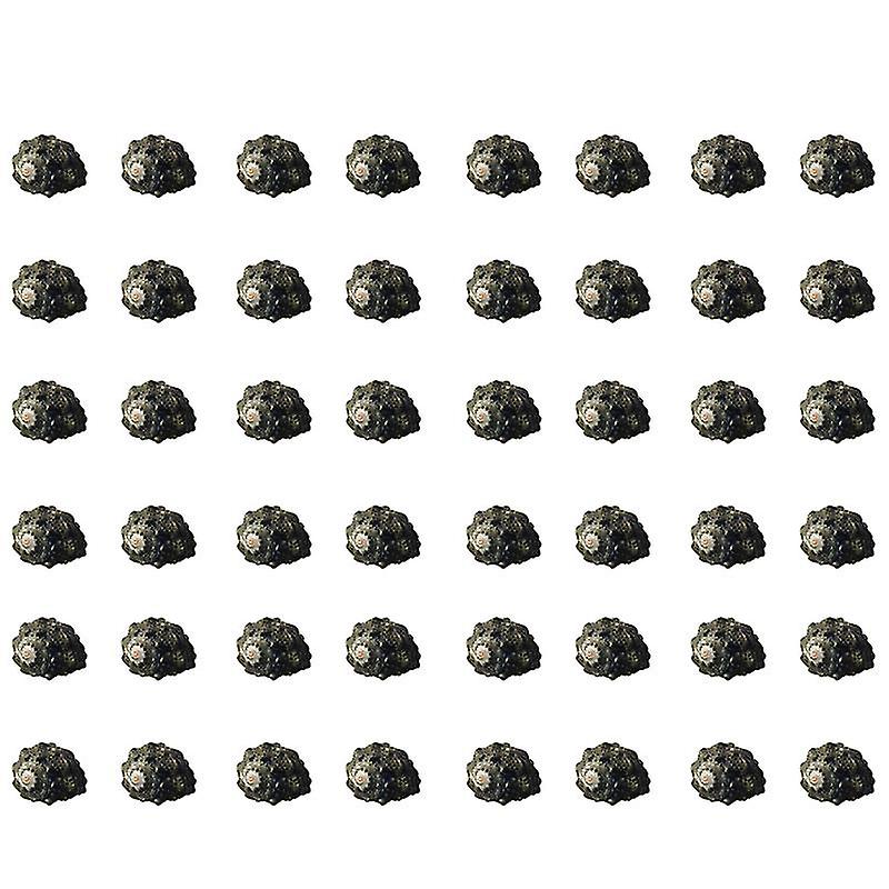 100pcs Natural Conch
