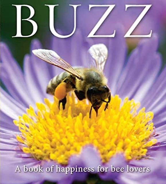 Buzz by Adam Langstroth Paperback Book