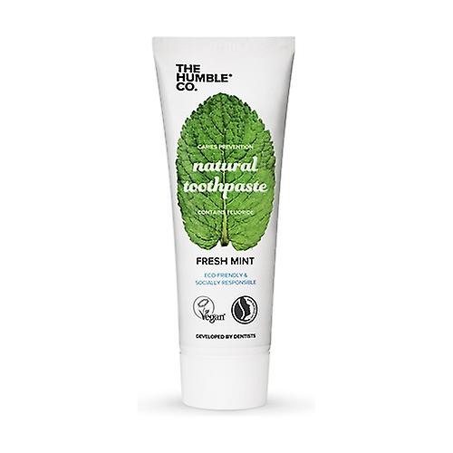 Natural Toothpaste - Mint 75 ml