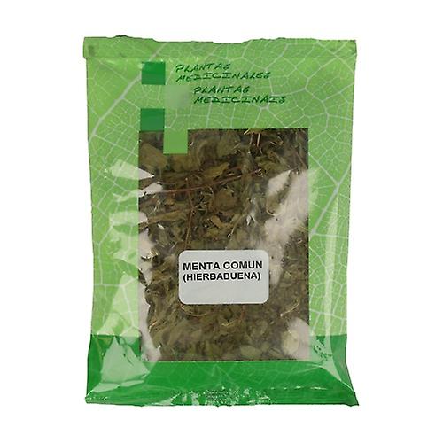 Peppermint 20 g