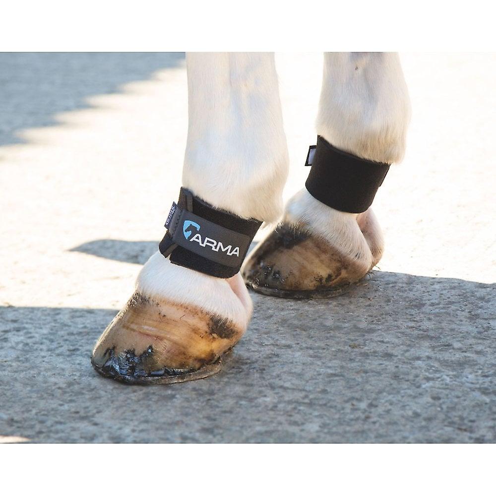 Shires Arma Pastern Wraps - Black