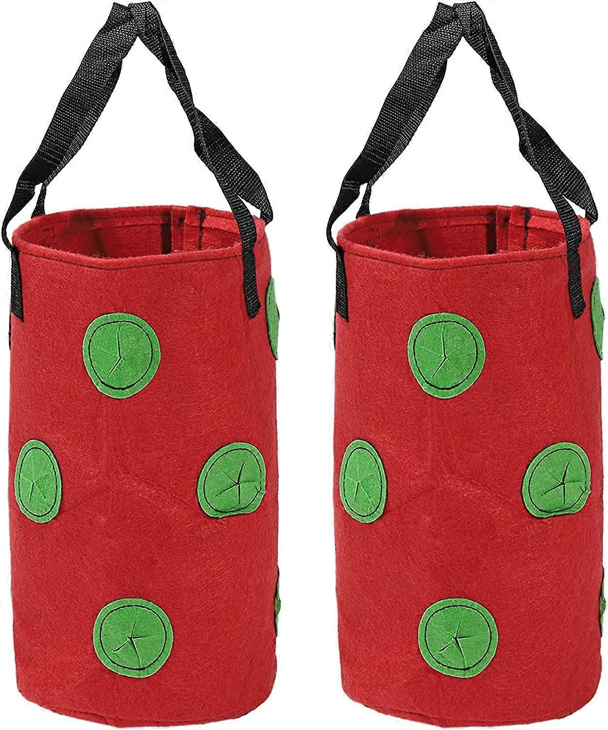 Pack Strawberry Grow Bag with  Holes