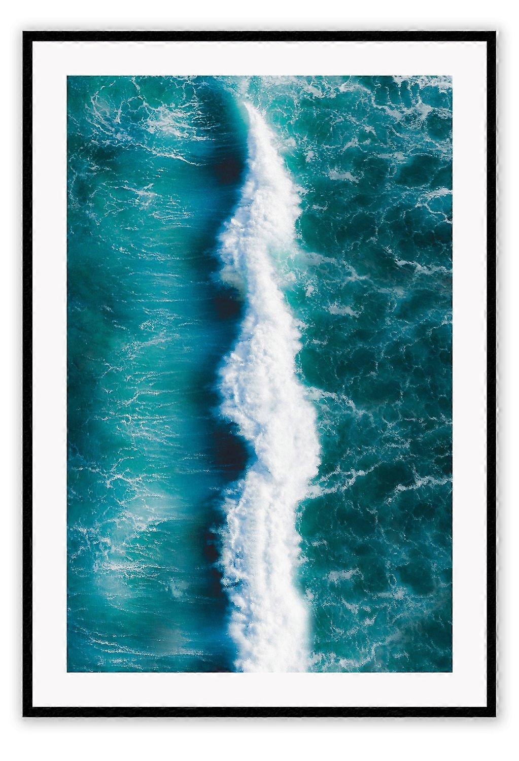 Whales