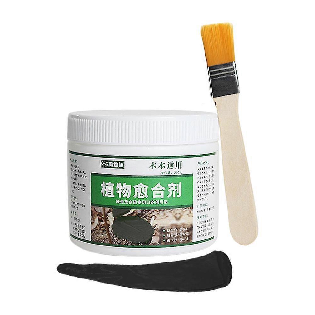 Tree Wound Bonsai Cut Paste Smear Agent Pruning Compound Sealer with Brush