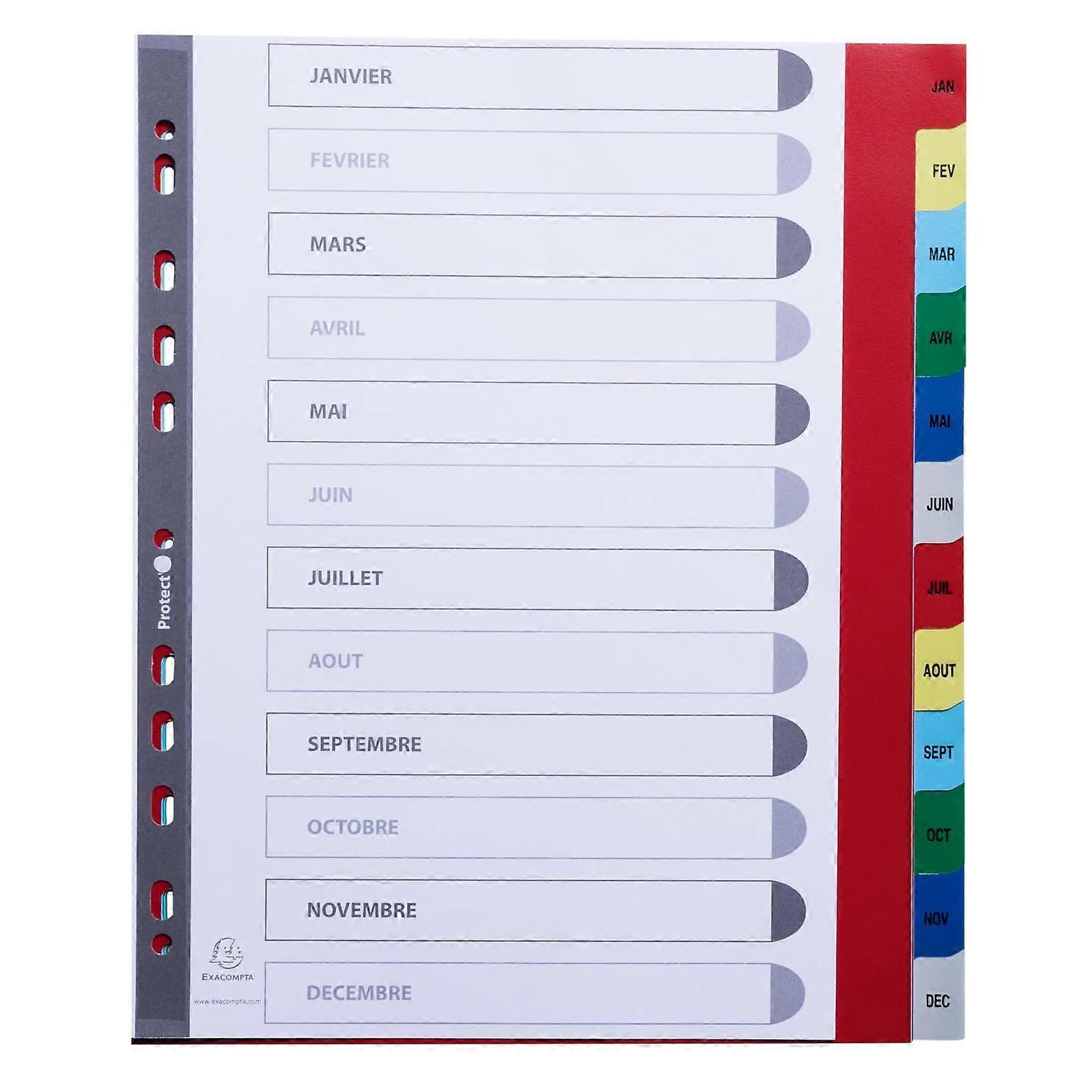 Exacompta 92E 20x Separad. Mes A4+ PP pest.impresas