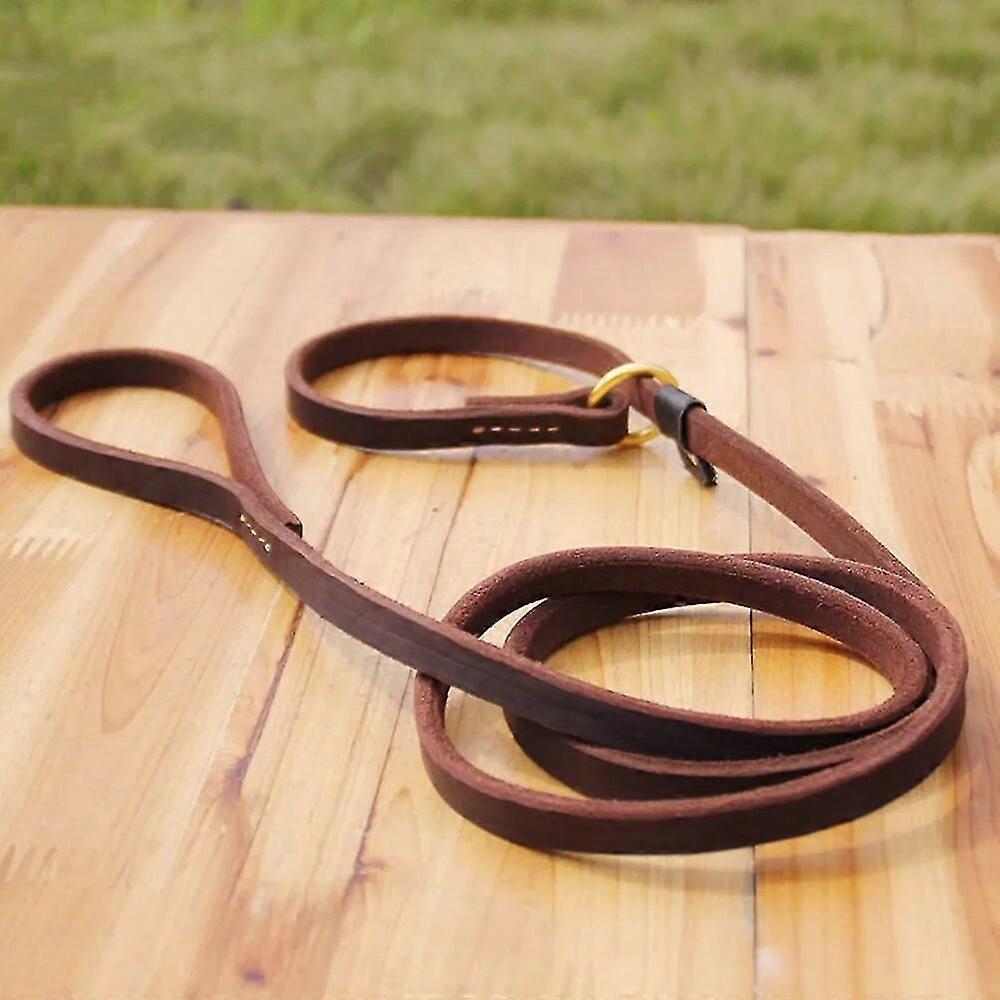 Gerçek Deri Köpek Kayma Kurşun Tasma Ayarlanabilir Pet Köpek Kayma Zinciri Kaydırıcı ile Güçlü Düz Deri Köpek Eğitim Tasma Büyük Köpekler için