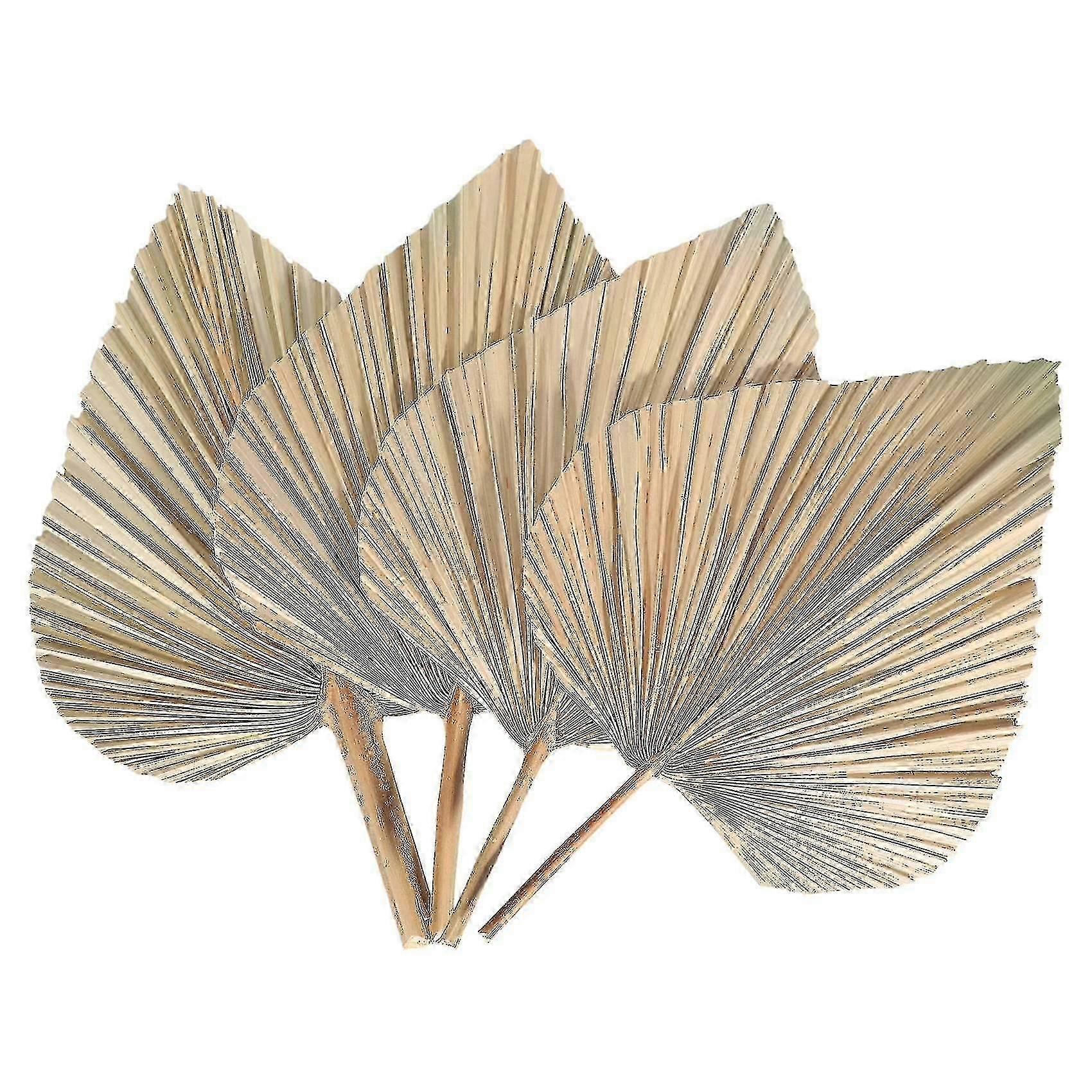 4stk tørrede palmeblade tørrede palmefans boheme tørrede palmespyd kunstige planter palmeblade tros