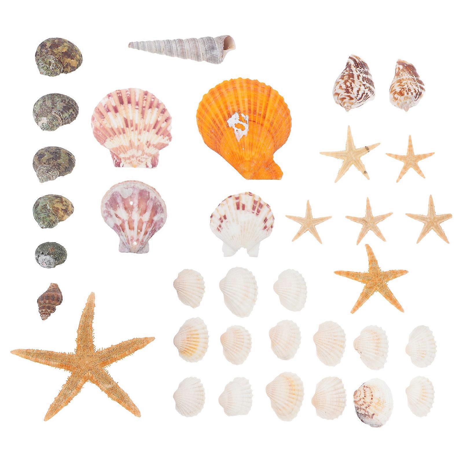 DIY Handicraft Accessory Mini Shell Pendant Making Accessories for Decoration 4Pcs