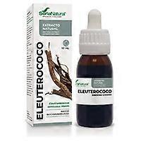 Alcohol Free Eleuterococcus Extract 50 ml