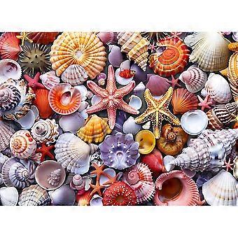 Jigsaw Puzzles for AdultsColorful Beach Shells Puzzle SQZ1198