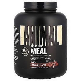 Animal, Balanced Meal™, Proteína en polvo, Chocolate, 5 libras (2,27 kg)