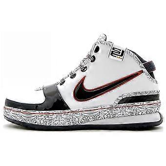 Nike LeBron 6 United We Rise 346526-141