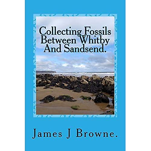 Collecting Fossils Between Whitby and Sandsend.: A Beginner's Guide.