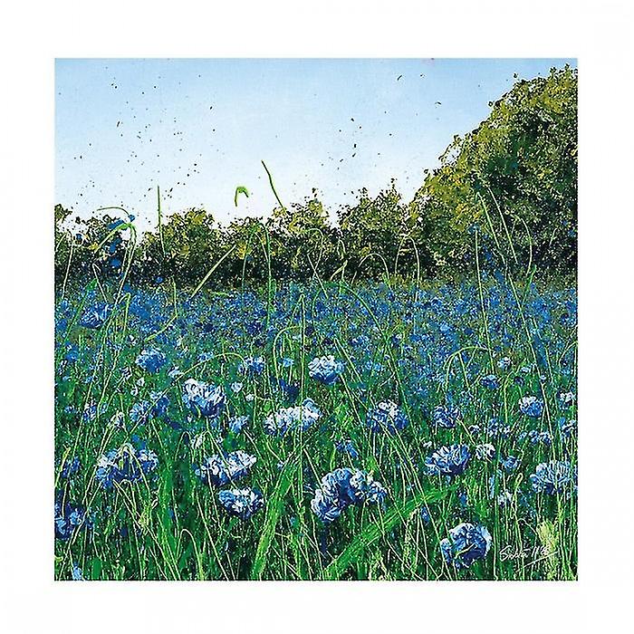 Siobhan McEvoy Cornflower Meadow Paper Print