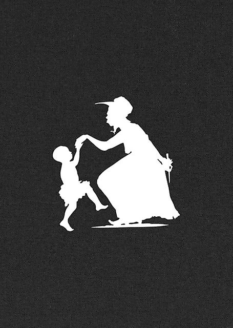 Kara Walker White Shadows In Blackface by Robert Hobbs Paperback Book