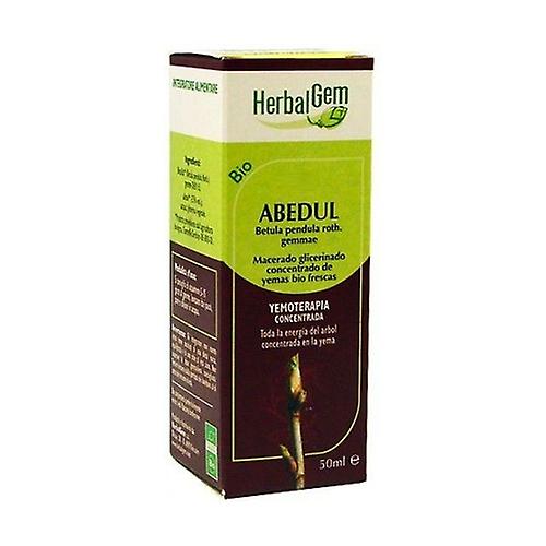 Glycerinated Macerated Birch 50 ml