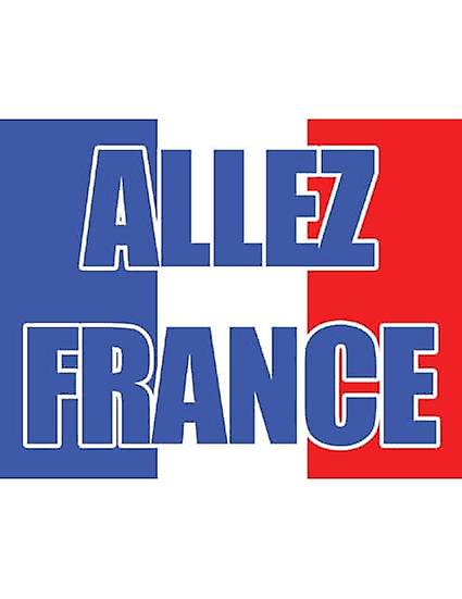 Go France 国旗
