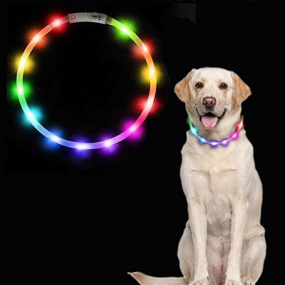 Dricar Light Up Dog Collar USB Rechargeable LED Flashing Dog Collar with 3 Glowing Light Modes Pet Visibility & Safety Collar Adjustable Size Fit for
