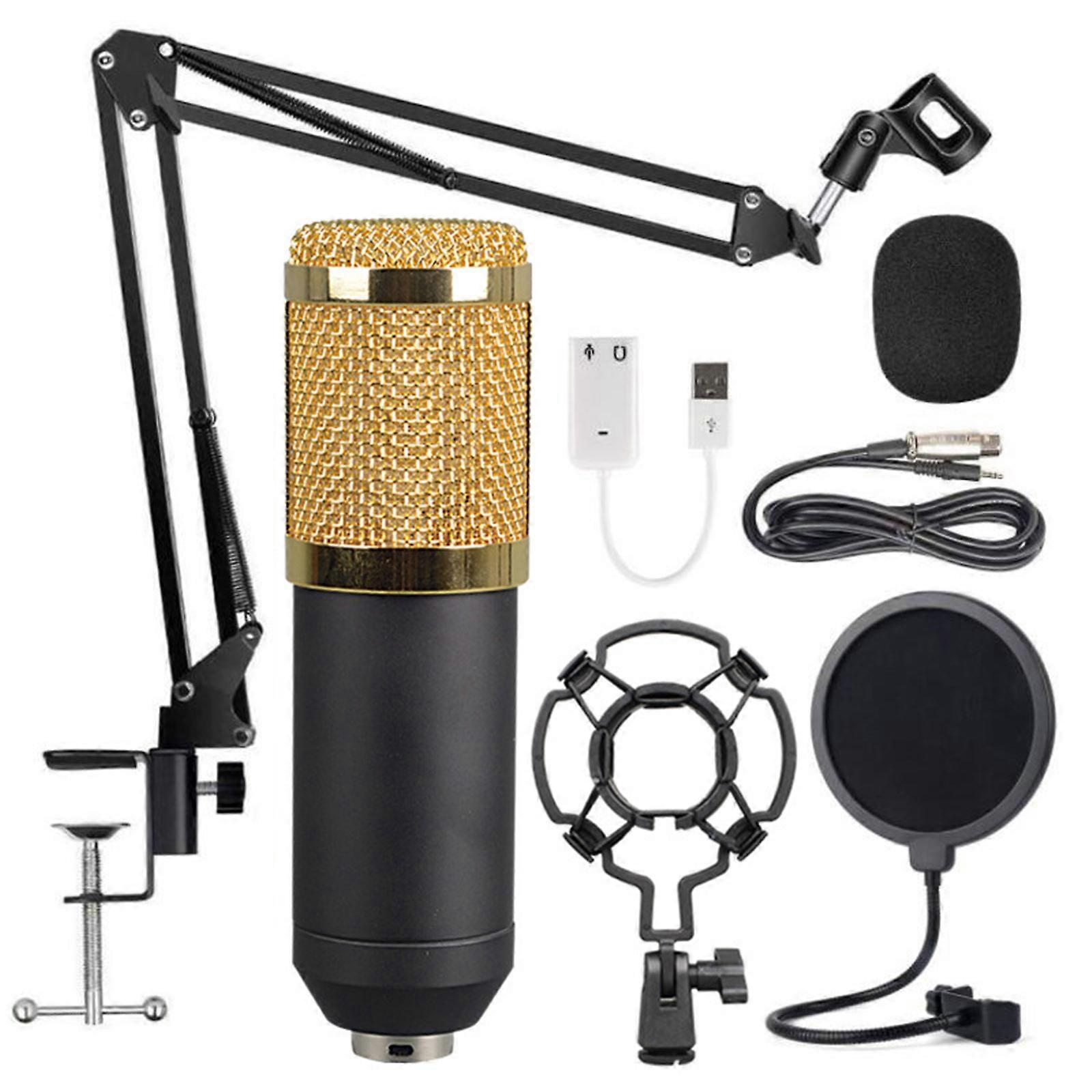 Studio apparatuur Condensator Microfoon 20Hz-20khz Frequency Response Mic