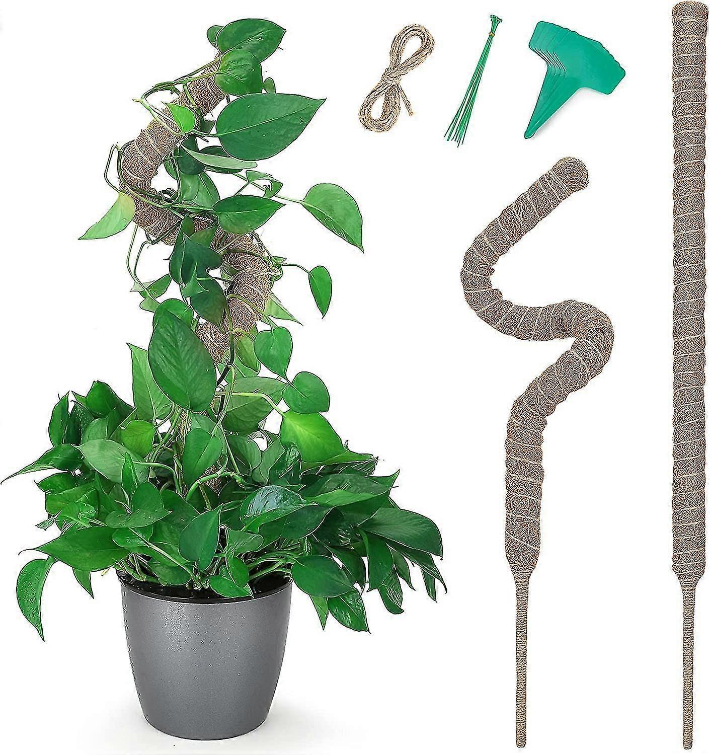 2 قطعة من قطب الطحالب ، 28 "قطب الطحلب للنباتات Monstera ، حصص نباتية للنباتات الداخلية ، نواة سميكة قابلة للانحناء ، عمود جوز الهند المصنوع يدويا ، نباتات محفوظة بوعاء