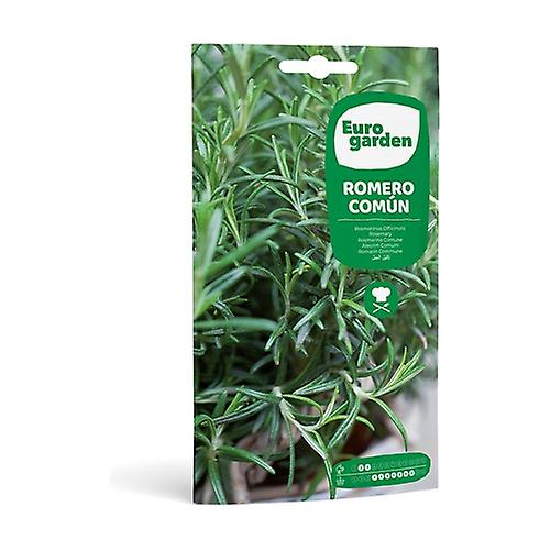 Common Rosemary Seeds 0,2 g