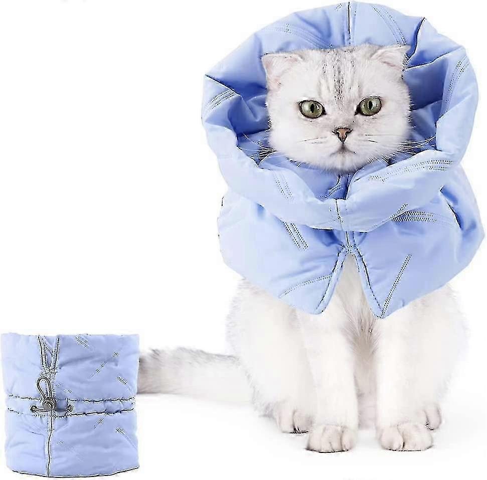 Collier ajustable bleu pour la récupération post-opératoire du chat