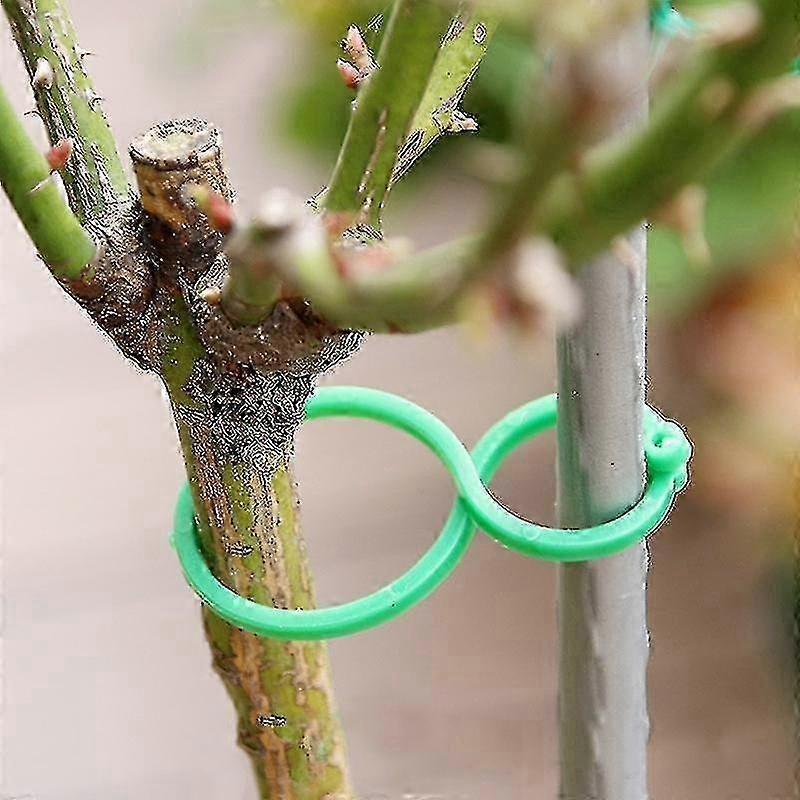 50/100 Pcs Plant Clips Reusable Garden Plant Support for Tomato and Vines